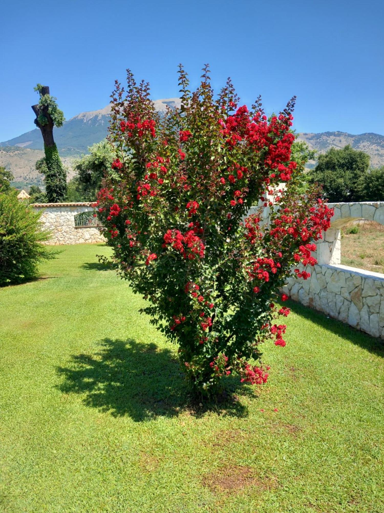 Вилла Antica Casa Scardone Piedimonte San Germano Экстерьер фото